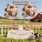 60pcs Cow Print Balloons 12inch, Brown Sand White Pastel Light Pink Cow Balloons for Farm My First Rodeo Country Baby Shower Birthday Party Decorations